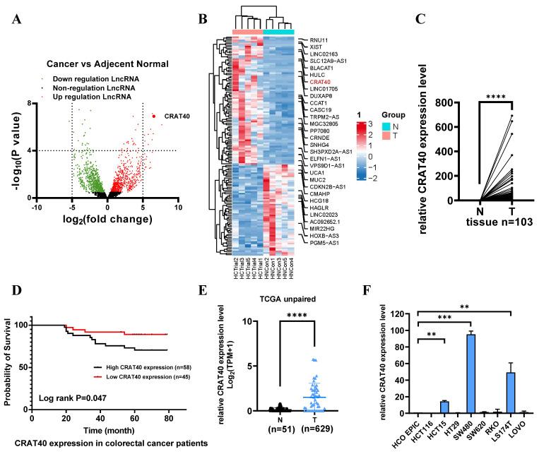 https://cdn.ncbi.nlm.nih.gov/pmc/blobs/308e/12374820/a437718add01/ijbsv21p4834g001.jpg