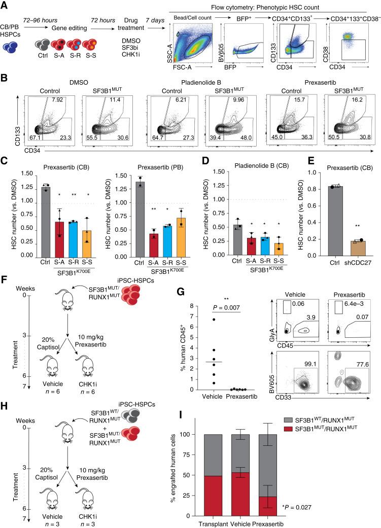 https://cdn.ncbi.nlm.nih.gov/pmc/blobs/308f/11369594/b2fd823cfce4/bcd-23-0230fig6.jpg