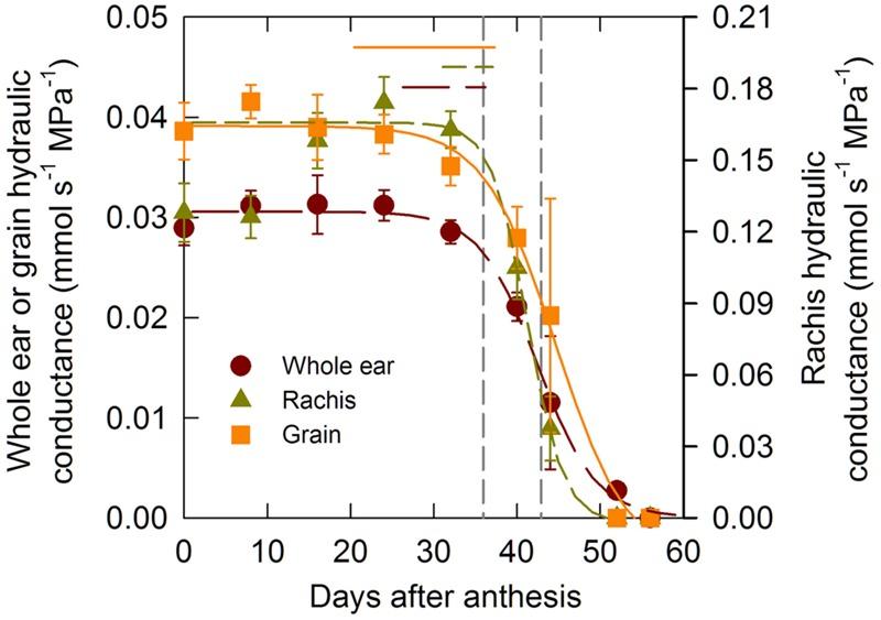 https://cdn.ncbi.nlm.nih.gov/pmc/blobs/3091/4921477/fe59ab0b7831/fpls-07-00920-g003.jpg