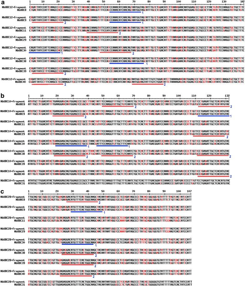 https://cdn.ncbi.nlm.nih.gov/pmc/blobs/3093/5521103/d7d0787e04c2/13007_2017_210_Fig5_HTML.jpg