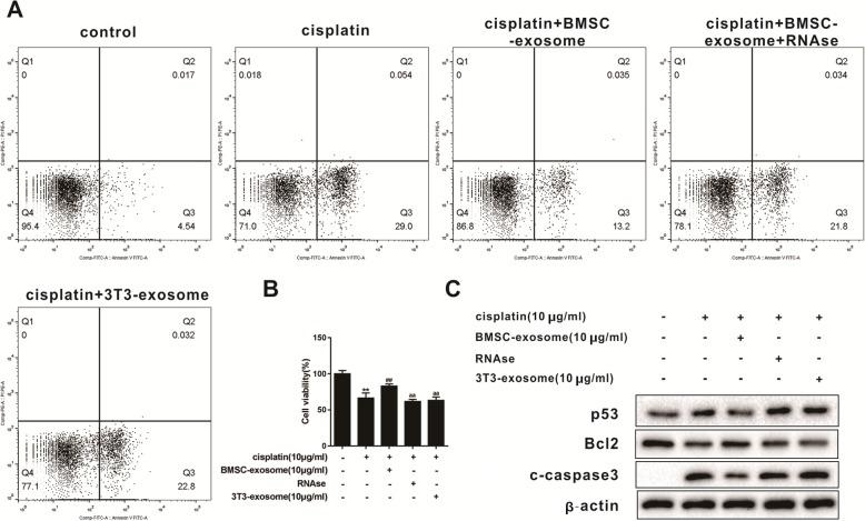 https://cdn.ncbi.nlm.nih.gov/pmc/blobs/3094/6884862/56b0a3c1fbf8/13287_2019_1442_Fig3_HTML.jpg