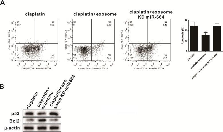 https://cdn.ncbi.nlm.nih.gov/pmc/blobs/3094/6884862/e359a82afeab/13287_2019_1442_Fig5_HTML.jpg