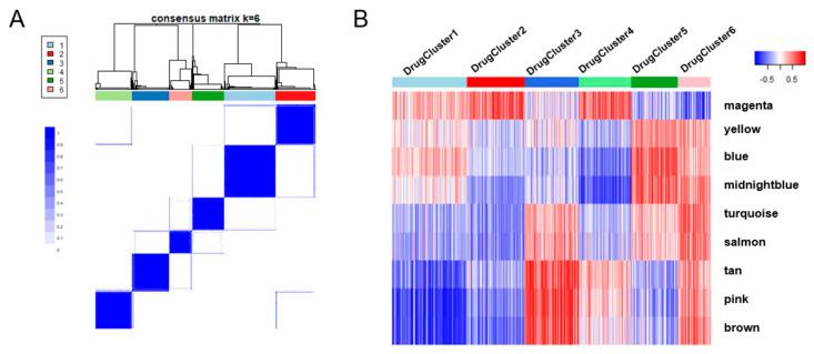 https://cdn.ncbi.nlm.nih.gov/pmc/blobs/3094/9221468/4e8e7090c133/brainsci-12-00720-g003.jpg