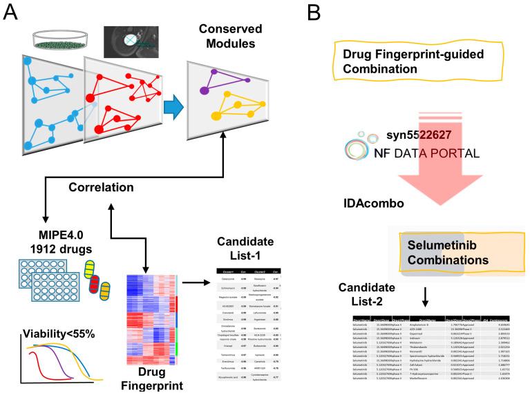 https://cdn.ncbi.nlm.nih.gov/pmc/blobs/3094/9221468/d32a14d74347/brainsci-12-00720-g001.jpg