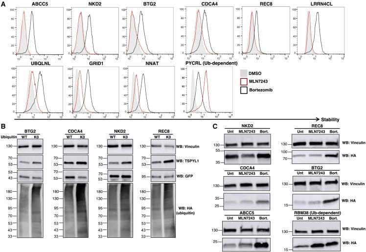 https://cdn.ncbi.nlm.nih.gov/pmc/blobs/3095/10237035/040181c96f78/gr6.jpg