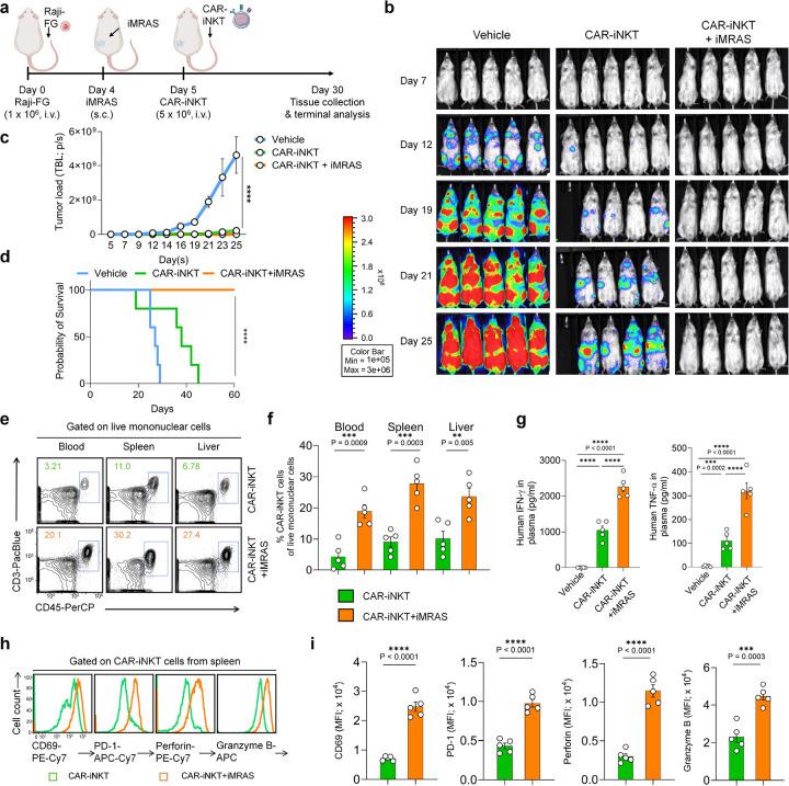 https://cdn.ncbi.nlm.nih.gov/pmc/blobs/3096/12036460/b11acdcfc154/nihpp-rs6215345v1-f0006.jpg