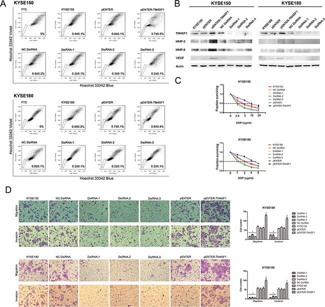 https://cdn.ncbi.nlm.nih.gov/pmc/blobs/3096/5386683/1b2c3312097d/oncotarget-08-19274-g002.jpg