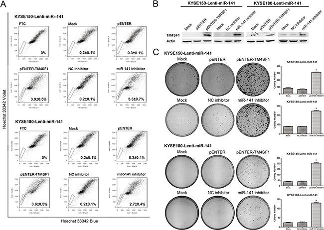 https://cdn.ncbi.nlm.nih.gov/pmc/blobs/3096/5386683/c995d668ef1e/oncotarget-08-19274-g006.jpg