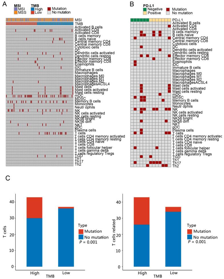 https://cdn.ncbi.nlm.nih.gov/pmc/blobs/3096/9406727/6945effd7a00/curroncol-29-00451-g003.jpg