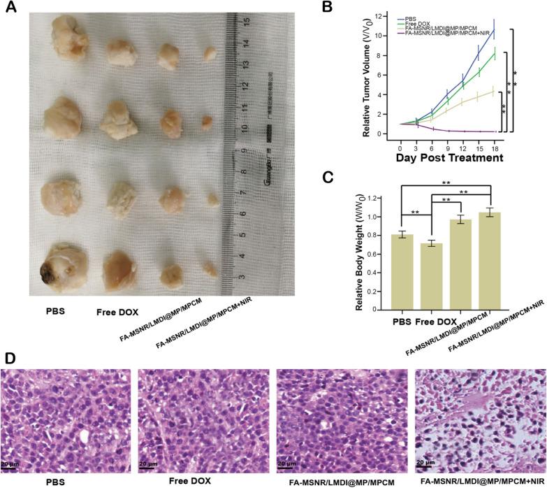 https://cdn.ncbi.nlm.nih.gov/pmc/blobs/3098/8543955/2051e5583bac/12951_2021_1082_Fig8_HTML.jpg