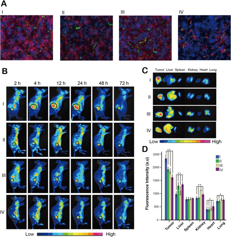 https://cdn.ncbi.nlm.nih.gov/pmc/blobs/3098/8543955/b474b1e5f9aa/12951_2021_1082_Fig4_HTML.jpg