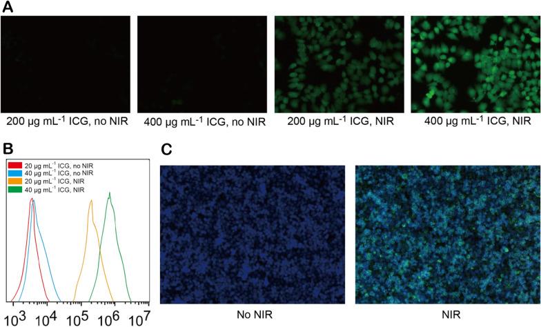 https://cdn.ncbi.nlm.nih.gov/pmc/blobs/3098/8543955/d34e1a787fb4/12951_2021_1082_Fig6_HTML.jpg
