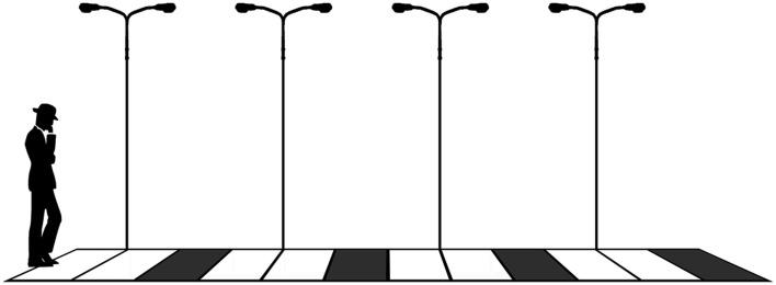 https://cdn.ncbi.nlm.nih.gov/pmc/blobs/3099/3466990/ee177788291a/fpsyg-03-00384-g004.jpg