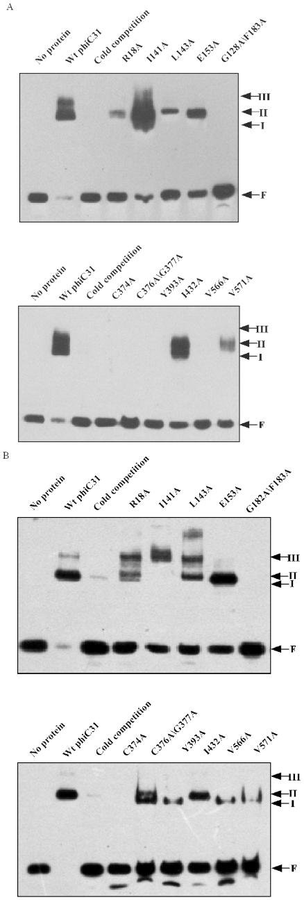 https://cdn.ncbi.nlm.nih.gov/pmc/blobs/309c/2810336/b7cd70831d41/pone.0008863.g005.jpg