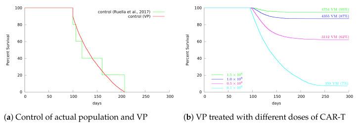 https://cdn.ncbi.nlm.nih.gov/pmc/blobs/309c/8231202/1bc497ce5e1f/cancers-13-02941-g006.jpg