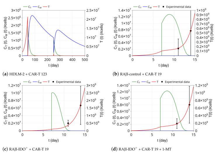 https://cdn.ncbi.nlm.nih.gov/pmc/blobs/309c/8231202/9781d22ffb8d/cancers-13-02941-g003.jpg