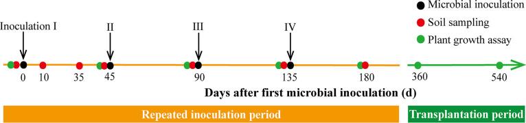 https://cdn.ncbi.nlm.nih.gov/pmc/blobs/309d/8091015/2cac7576ab99/AEM.00046-21-f0006.jpg