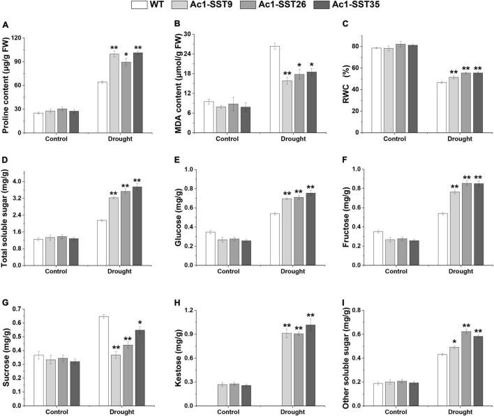 https://cdn.ncbi.nlm.nih.gov/pmc/blobs/309d/8790044/14b4e7e640eb/fpls-12-783134-g006.jpg