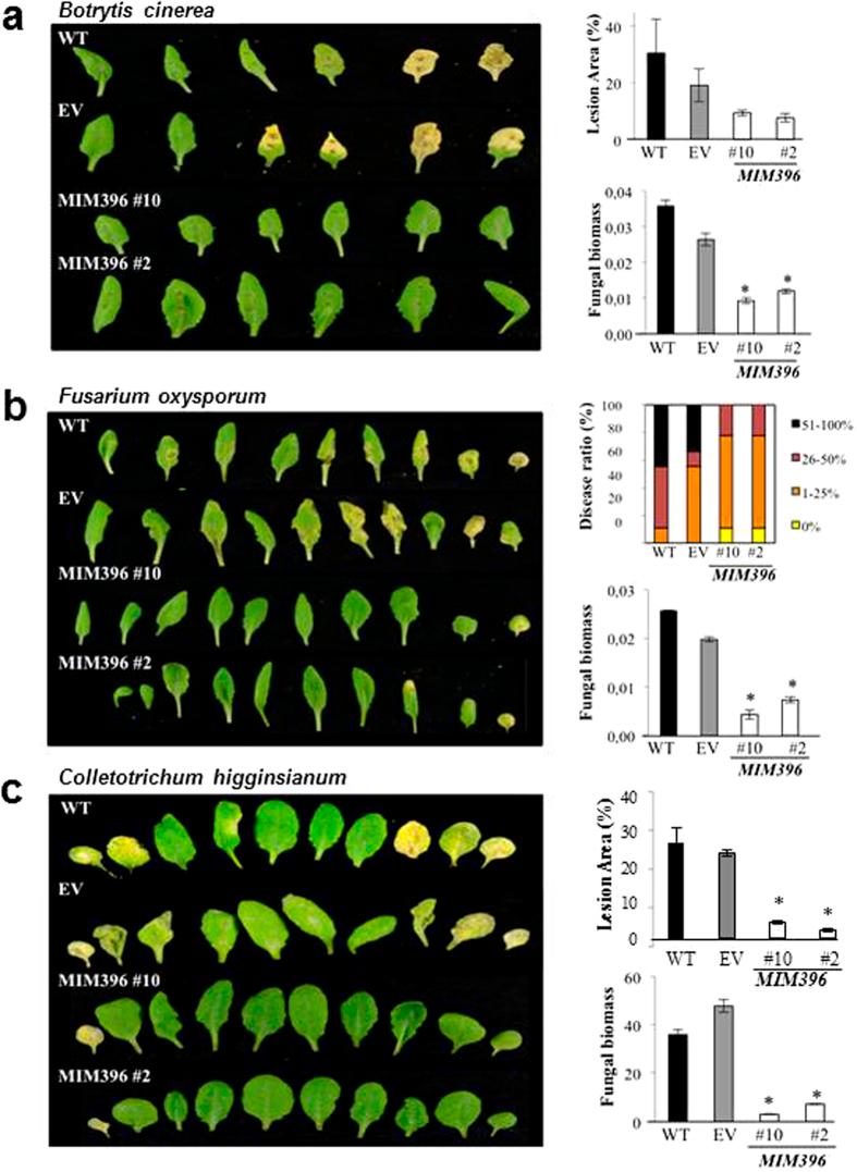 https://cdn.ncbi.nlm.nih.gov/pmc/blobs/309f/5362962/4916a017cc01/srep44898-f2.jpg