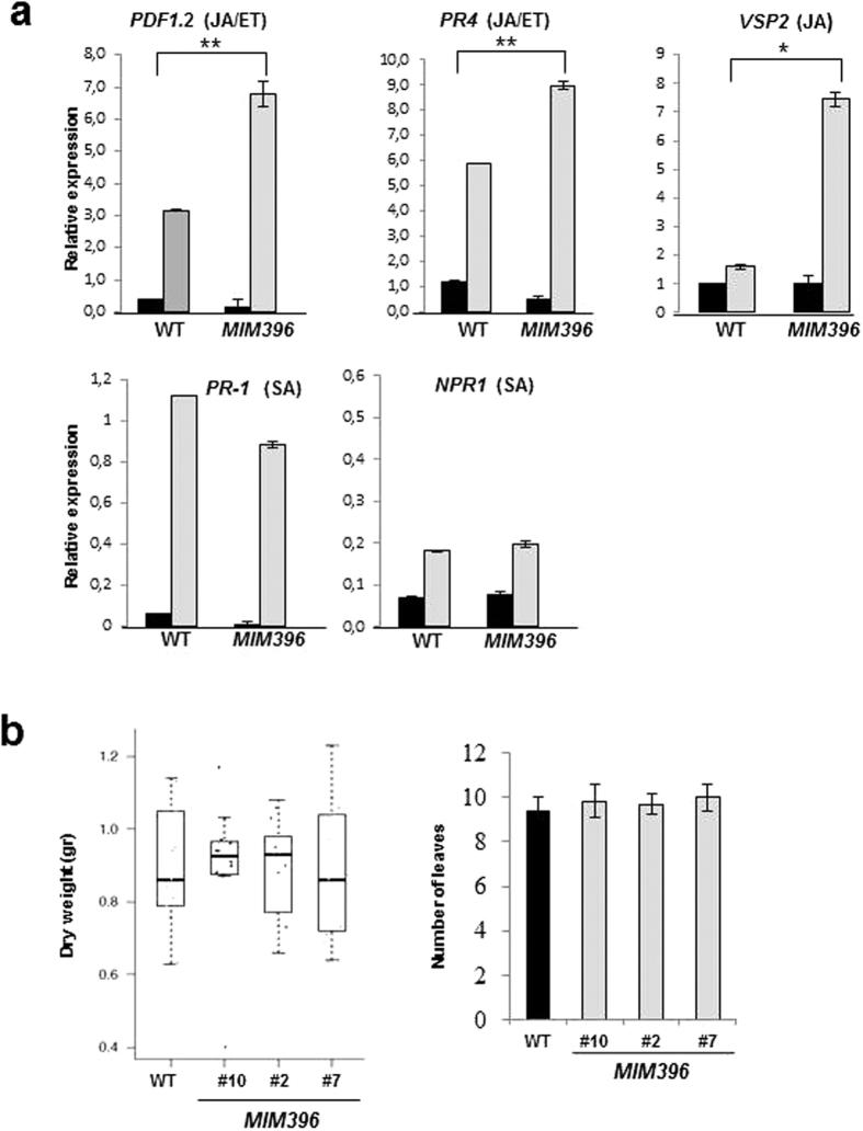 https://cdn.ncbi.nlm.nih.gov/pmc/blobs/309f/5362962/691543ab22f1/srep44898-f7.jpg