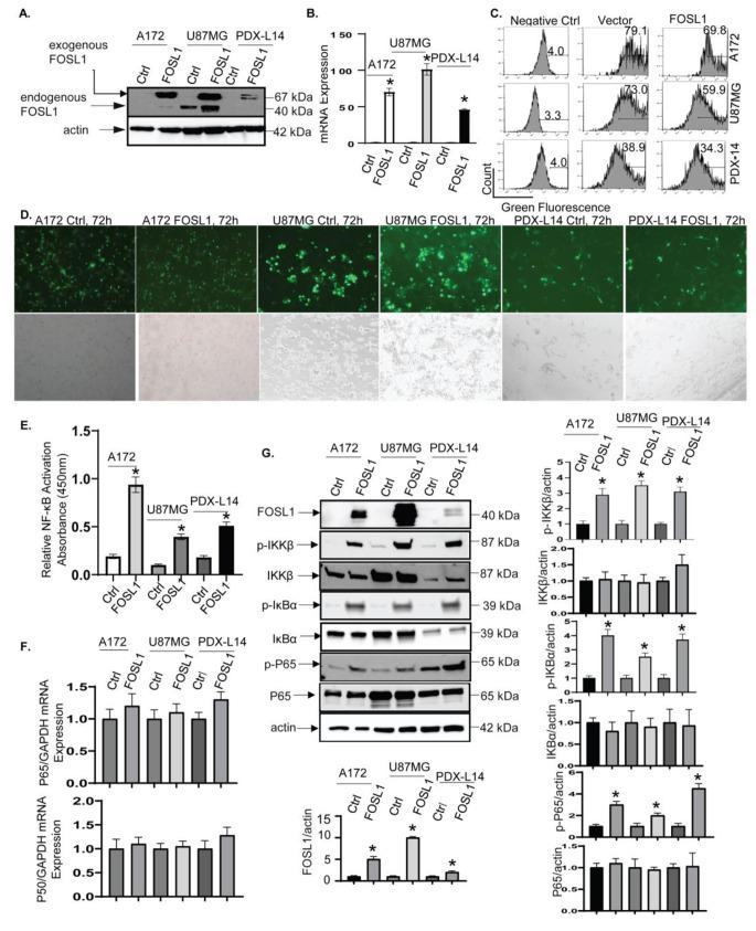 https://cdn.ncbi.nlm.nih.gov/pmc/blobs/30a1/11335291/a91e669f378d/18_2024_5293_Fig5_HTML.jpg