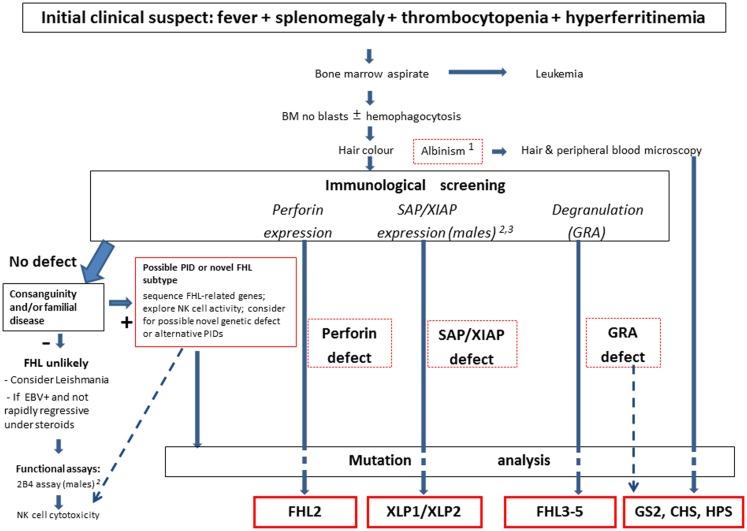 https://cdn.ncbi.nlm.nih.gov/pmc/blobs/30a1/3997030/ce11c3fd2262/fimmu-05-00167-g001.jpg