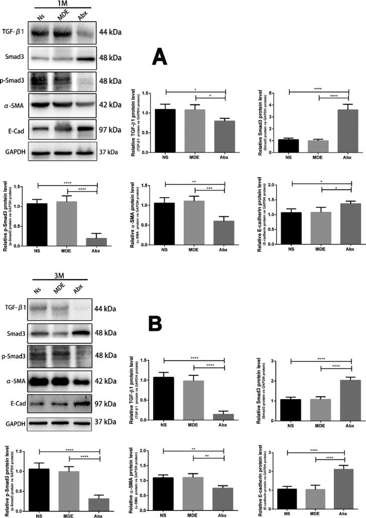 https://cdn.ncbi.nlm.nih.gov/pmc/blobs/30a2/7033964/7650be48205b/ao9b03906_0009.jpg