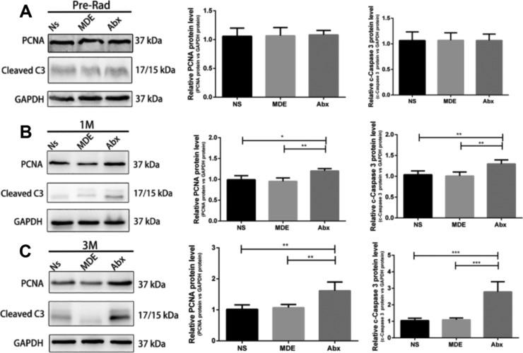 https://cdn.ncbi.nlm.nih.gov/pmc/blobs/30a2/7033964/ab02424b91d4/ao9b03906_0005.jpg