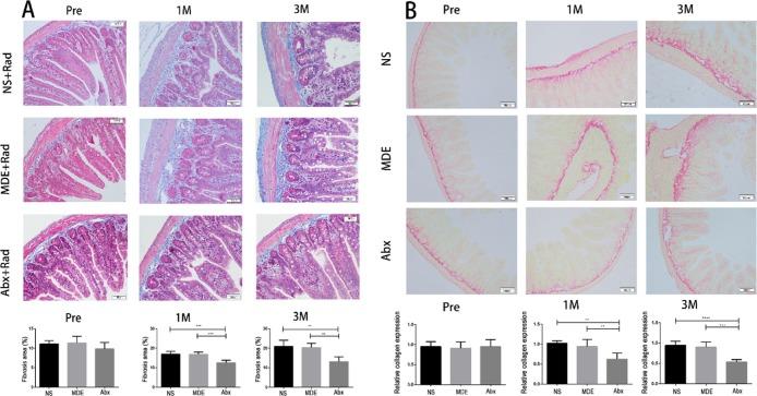 https://cdn.ncbi.nlm.nih.gov/pmc/blobs/30a2/7033964/d93dea2a79a2/ao9b03906_0006.jpg