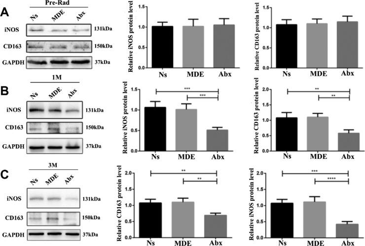 https://cdn.ncbi.nlm.nih.gov/pmc/blobs/30a2/7033964/fa09b87a3206/ao9b03906_0008.jpg
