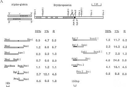 https://cdn.ncbi.nlm.nih.gov/pmc/blobs/30a4/52967/b98a6ba867e3/pnas01073-0190-a.jpg