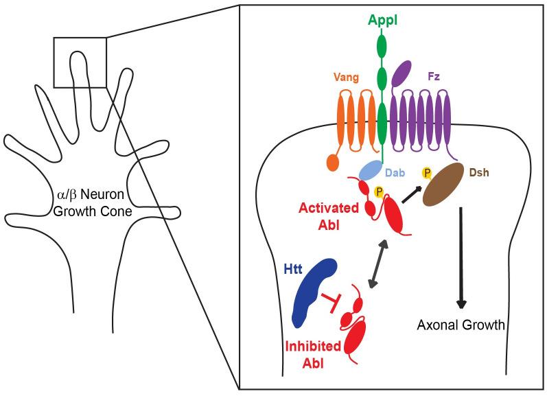https://cdn.ncbi.nlm.nih.gov/pmc/blobs/30a6/7845969/48aecbd47706/pgen.1009287.g007.jpg