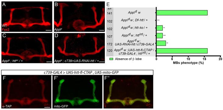 https://cdn.ncbi.nlm.nih.gov/pmc/blobs/30a6/7845969/b330c44fea26/pgen.1009287.g001.jpg