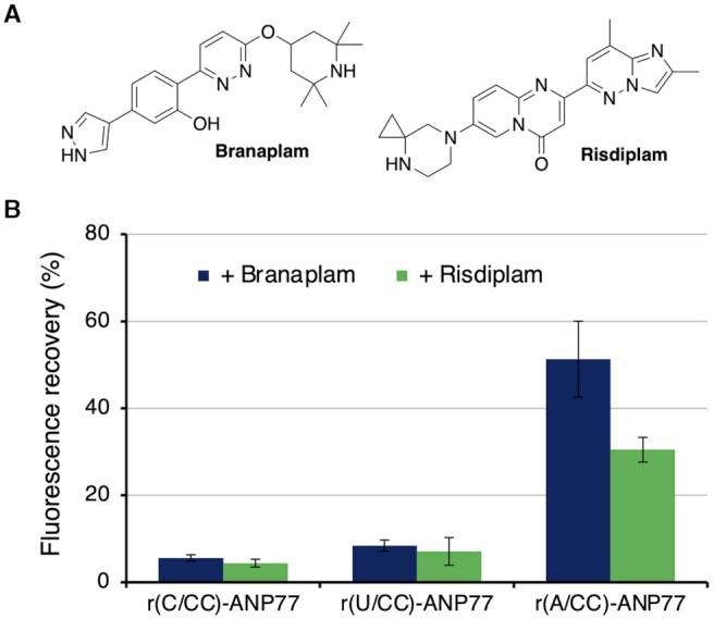 https://cdn.ncbi.nlm.nih.gov/pmc/blobs/30a9/8421207/409ff1b00718/gkab650fig5.jpg
