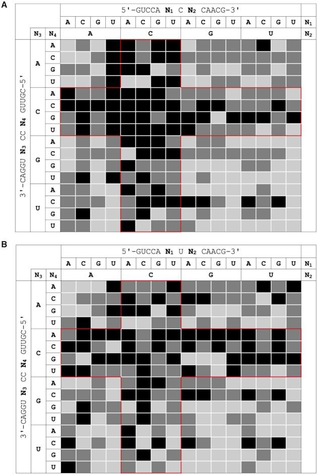 https://cdn.ncbi.nlm.nih.gov/pmc/blobs/30a9/8421207/4da8bb62e6a6/gkab650fig3.jpg