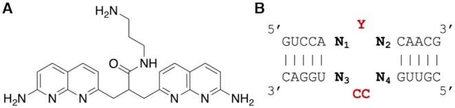 https://cdn.ncbi.nlm.nih.gov/pmc/blobs/30a9/8421207/605cd6d13a04/gkab650fig1.jpg