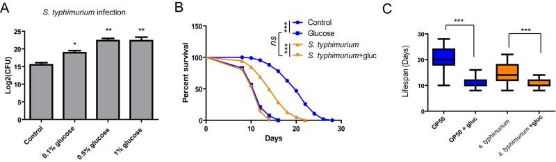 https://cdn.ncbi.nlm.nih.gov/pmc/blobs/30aa/6286829/10280eafd9cf/aging-10-101610-g001.jpg