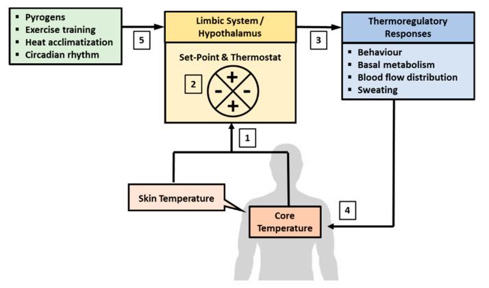 https://cdn.ncbi.nlm.nih.gov/pmc/blobs/30aa/7662600/b1e57323a4de/ijerph-17-07795-g001.jpg