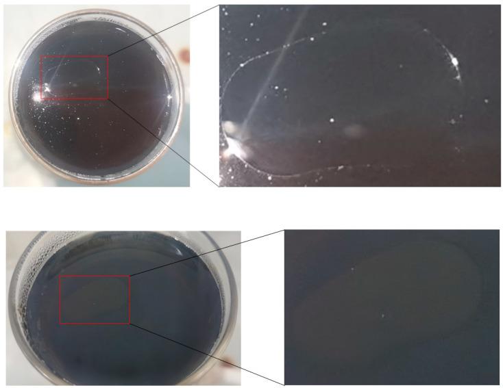 https://cdn.ncbi.nlm.nih.gov/pmc/blobs/30ac/11085654/eb0885350cc8/molecules-29-02153-g002.jpg