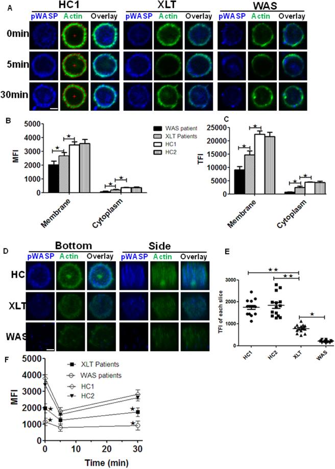https://cdn.ncbi.nlm.nih.gov/pmc/blobs/30ac/5607224/8c2d028baa0f/41598_2017_12345_Fig4_HTML.jpg