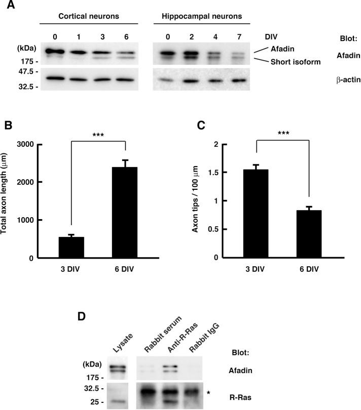 https://cdn.ncbi.nlm.nih.gov/pmc/blobs/30ae/3395666/cd5d273cc2bb/2793fig2.jpg