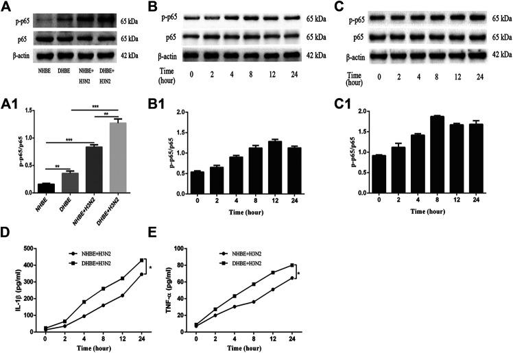 https://cdn.ncbi.nlm.nih.gov/pmc/blobs/30b1/8029562/02d1a686864e/fphar-12-604590-g001.jpg