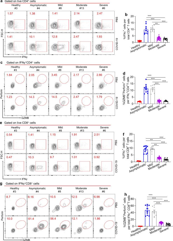 https://cdn.ncbi.nlm.nih.gov/pmc/blobs/30b2/7940604/c42b3264ba60/41392_2021_525_Fig4_HTML.jpg
