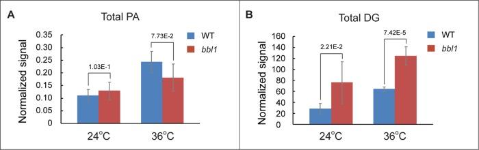 https://cdn.ncbi.nlm.nih.gov/pmc/blobs/30b3/4263451/075481f7a376/4083fig4.jpg