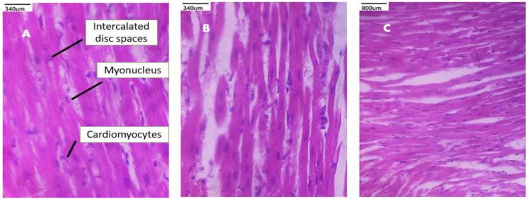 https://cdn.ncbi.nlm.nih.gov/pmc/blobs/30b4/11723144/26165e374540/polymers-17-00024-g011.jpg