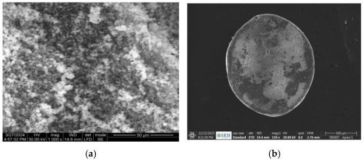 https://cdn.ncbi.nlm.nih.gov/pmc/blobs/30b4/11723144/fd31e7b565c2/polymers-17-00024-g006.jpg