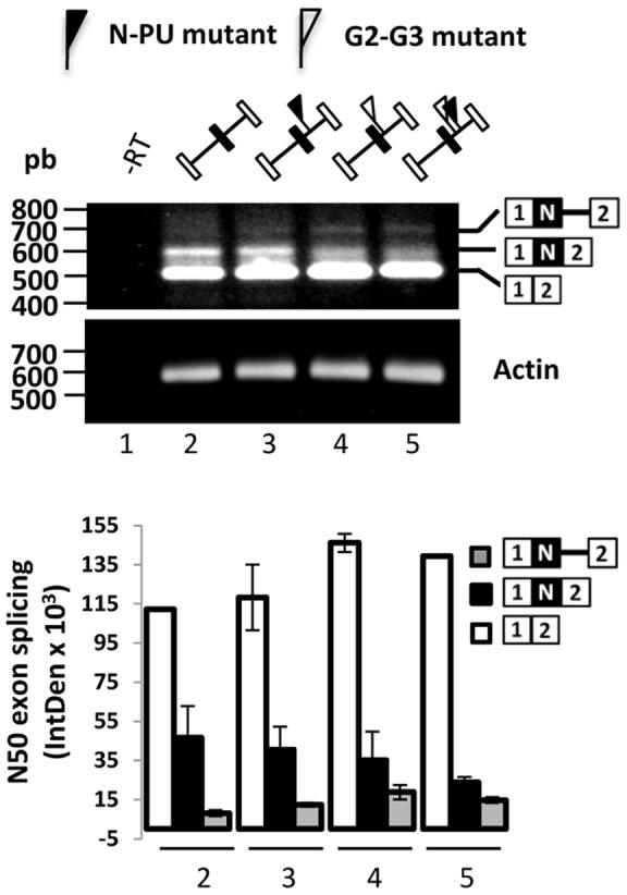https://cdn.ncbi.nlm.nih.gov/pmc/blobs/30b4/3390395/7e42f204bb28/pone.0040315.g002.jpg