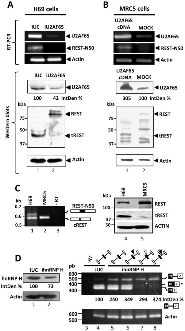 https://cdn.ncbi.nlm.nih.gov/pmc/blobs/30b4/3390395/87c01e3fc810/pone.0040315.g004.jpg