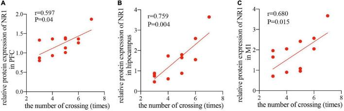 https://cdn.ncbi.nlm.nih.gov/pmc/blobs/30b4/9389218/75883d2eb66c/fnins-16-974940-g005.jpg