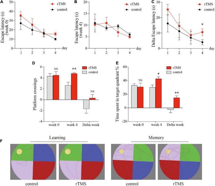 https://cdn.ncbi.nlm.nih.gov/pmc/blobs/30b4/9389218/c325386ea489/fnins-16-974940-g002.jpg